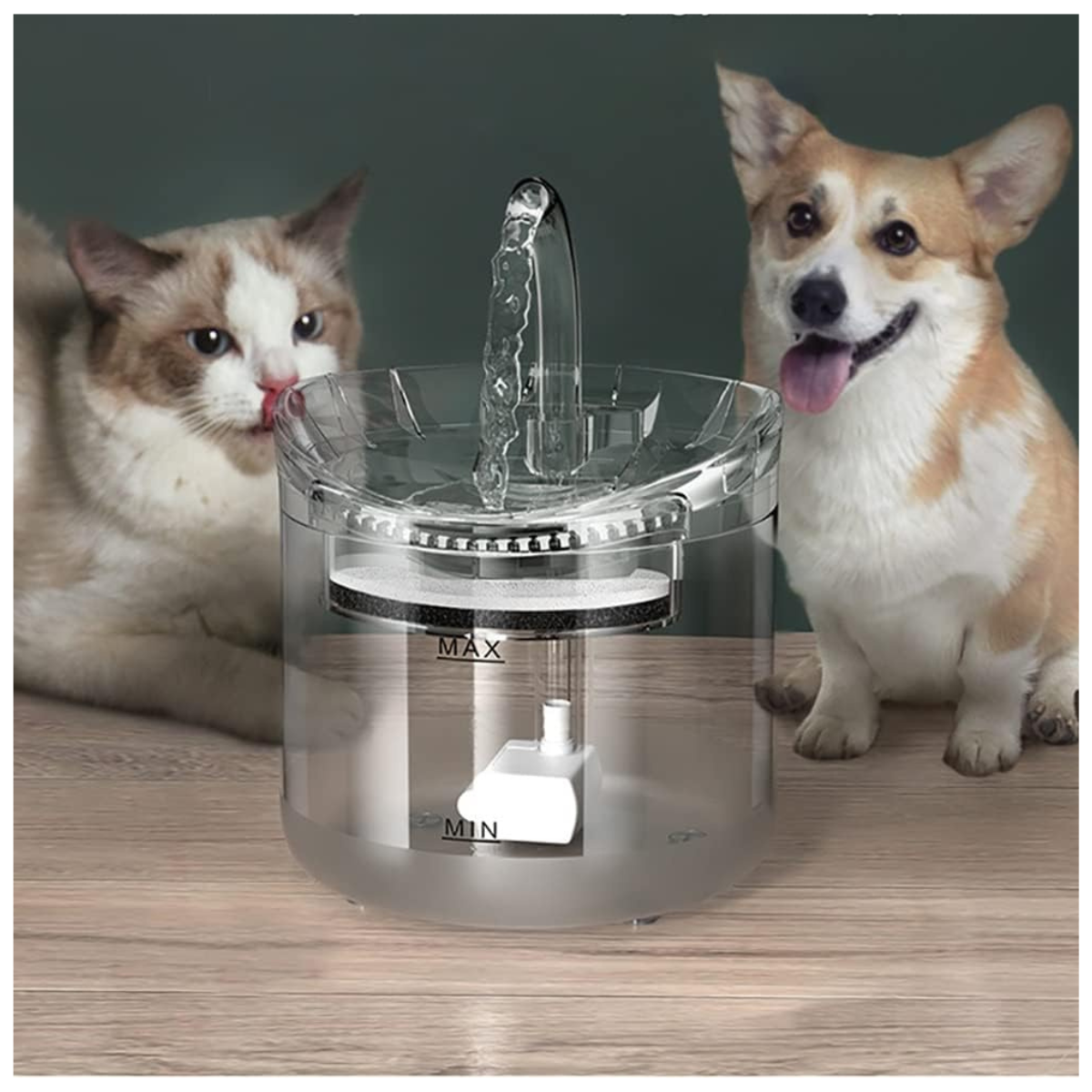 🐾 AquaPet Luxe™