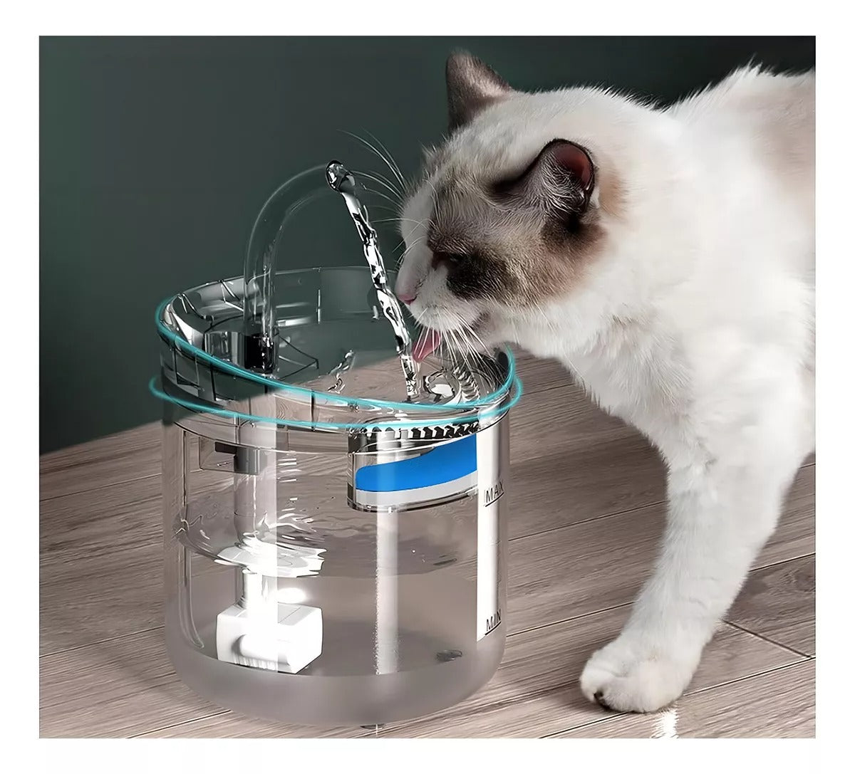 🐾 AquaPet Luxe™