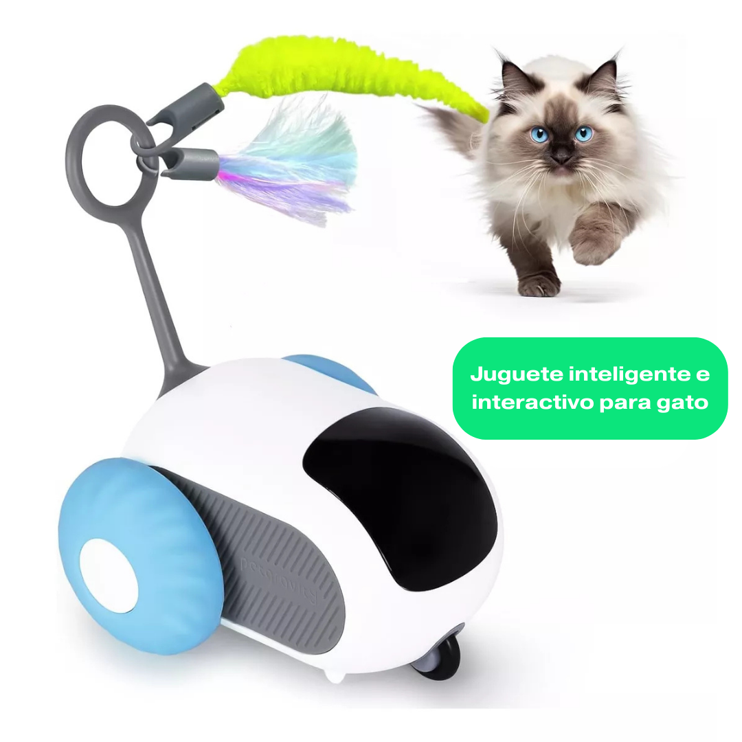 Entretención